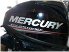 Mercury Aussenborder F 2,5