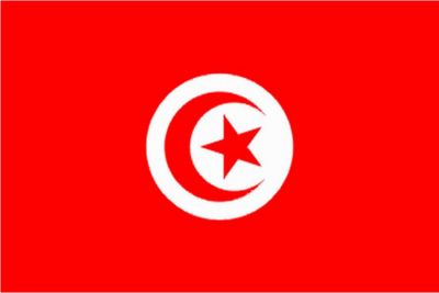 Lnderflaggen Schifffahrt Flagge Tunesien Mae 200 x 300mm