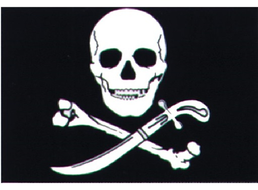 Piratenflagge mit Schwert 20 x 30cm