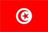 Lnderflaggen Schifffahrt Flagge Tunesien Mae 200 x 300mm